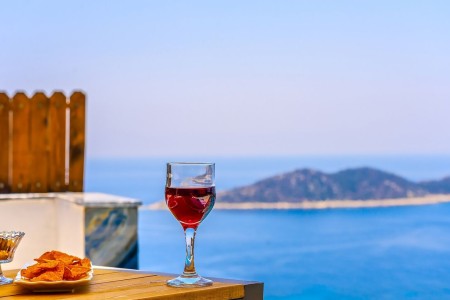Villa Gerenlik 3