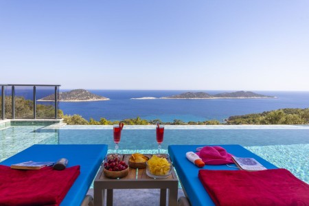 Villa Gerenlik 4